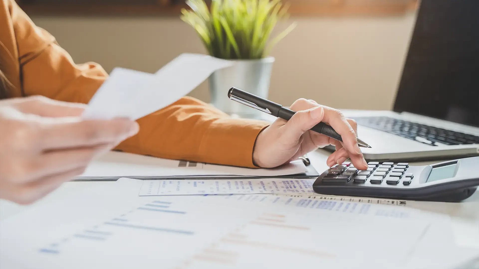 New LLC Creation Services